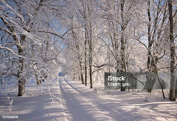 Foto de Estrada De Inverno e mais fotos de stock de Azul - Azul, Bosque - Floresta, Bosque - Área arborizada