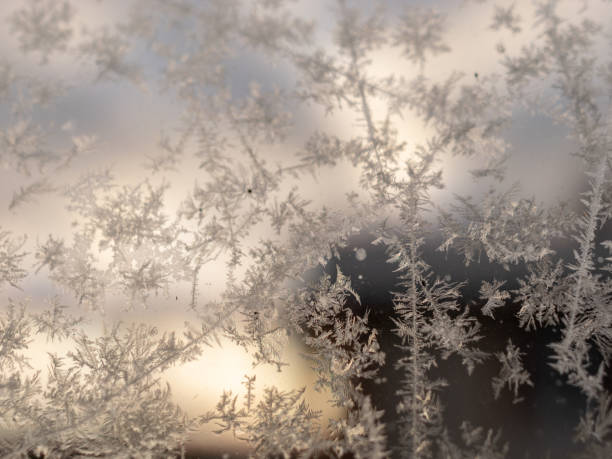 istock ice flower texture, ice flower fragments on blurred background 1370069844