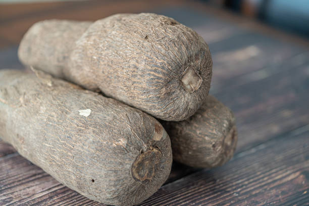 istock fresh raw Nigerian yam tubers on display 1370071737