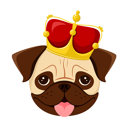 The head of a pug with a crown
