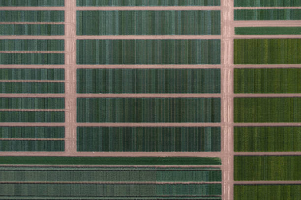 istock Experimental field aerial photographs, graphical 1370074853