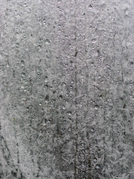 istock ice flower texture, ice flower fragments on blurred background 1370075002