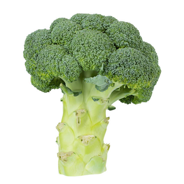 istock Fresh broccoli isolated on white background. Healthy organic food. 1370080704