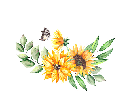 Botanical composition with yellow sunflowers, green leaves and a butterfly. Watercolor drawing of a flower bouquet isolated on a white background.