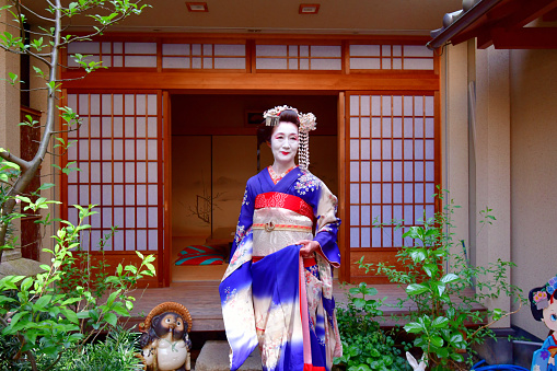 A Japanese woman in Maiko’s costume and hairstyle is standing/posing in the courtyard of Geisha House in Miyakawa-cho, Gion, Kyoto. She wears traditional long-sleeved kimono with long dangling sash and her hair is elaborately decorated with seasonal flower-featured hairpins.
