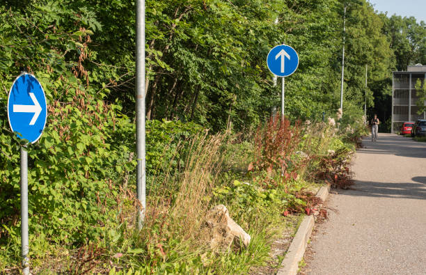 istock direction signs at a parking lot at forest edge 1370086268