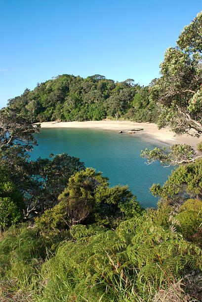 istock new zealand beach 137008735