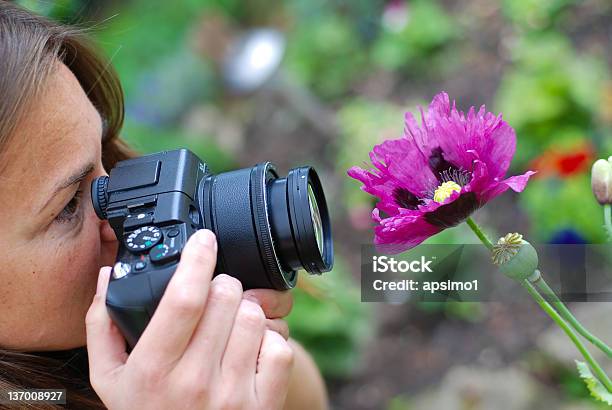 사진 촬영 퍼플 플라워 사진작가에 대한 스톡 사진 및 기타 이미지 - 사진작가, 접사 촬영, 꽃 한송이