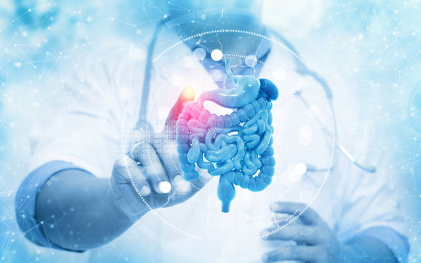 istock The doctor touching the patient digestive system on blurred background 1370095500