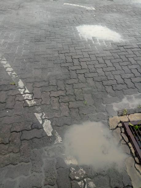 istock The wet brick paving road 1370095626