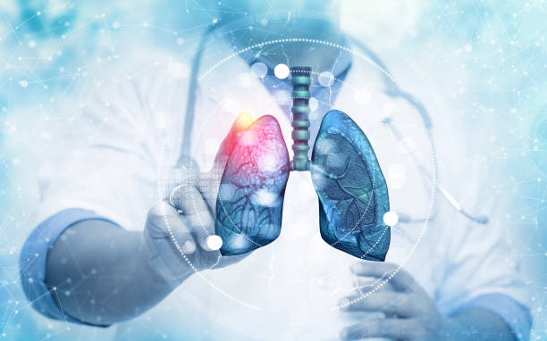 il medico che tocca il sistema polmonare umano su sfondo sfocato - human lung foto e immagini stock