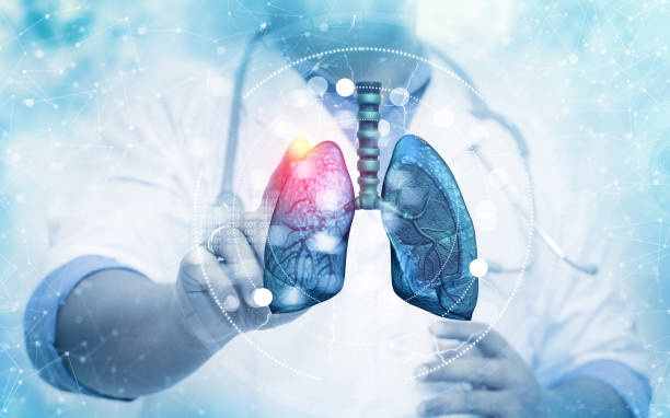 istock The doctor touching the human lung system on blurred background 1370095636