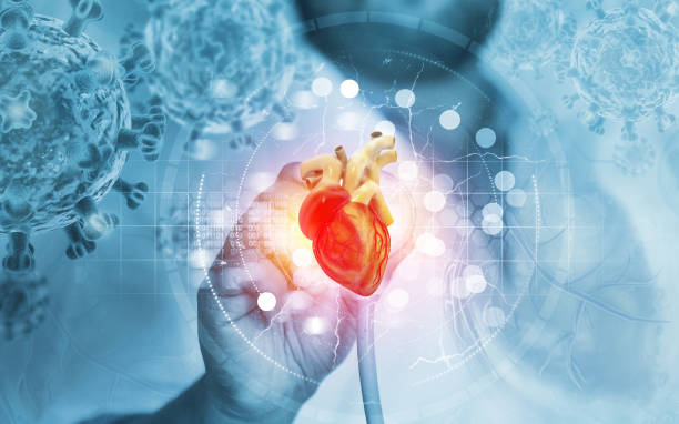 istock The concept of protecting and supporting the human lungs 1370096043
