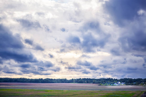 Green fields under cloudy sky on sunny day