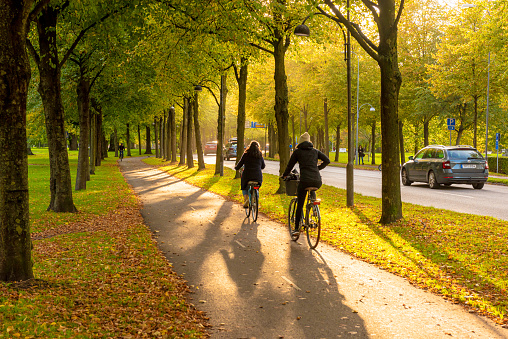 Gothenburg, Sweden - October 10 2019: Low autumn sun over a bicycle road..