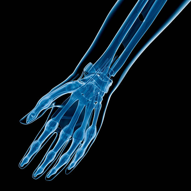 una radiografia della mano - human bone forensic science medical scan morphology foto e immagini stock