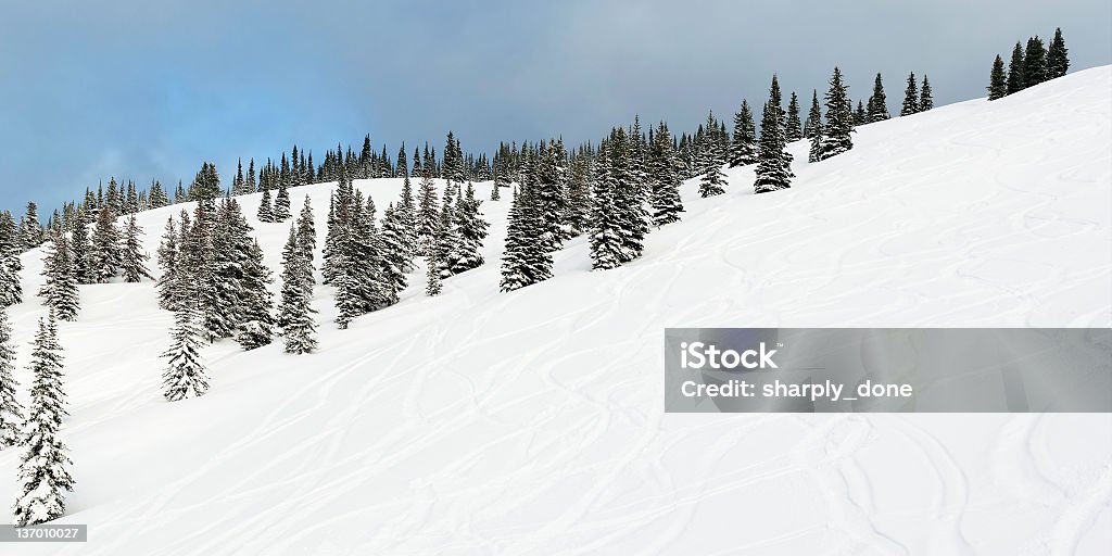 La neve fresca sci brani - Foto stock royalty-free di Sci - Sci e snowboard