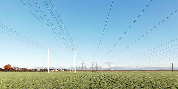 electric power lines cut through a farm field, panoramic frame (XL)