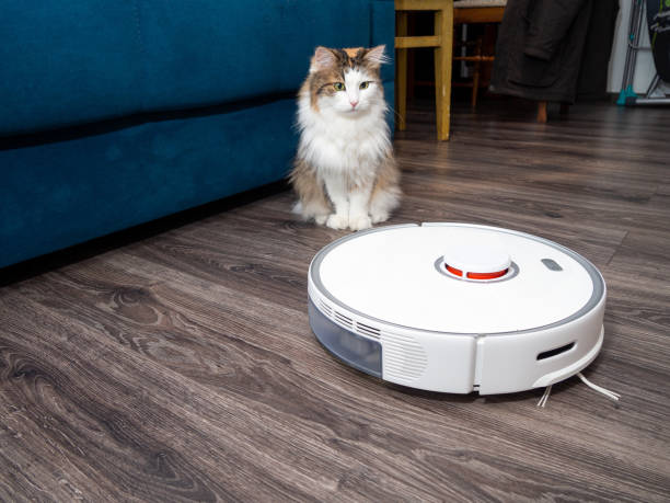 istock a white vacuum cleaner robot and a fluffy cat on a laminated wooden floor. 1370101651