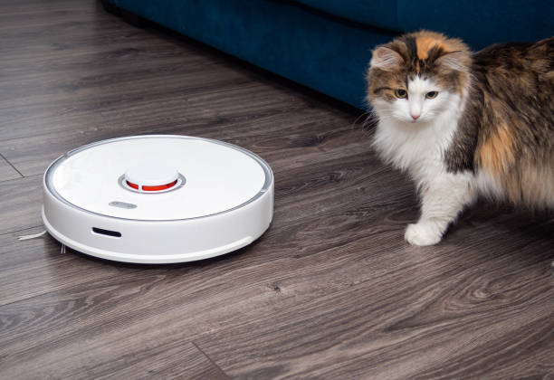istock a white vacuum cleaner robot and a fluffy cat on a laminated wooden floor. 1370101657