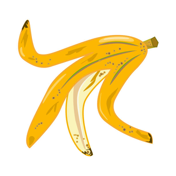 Banana peel isolated on white background. Peeled banana icon. Trash and rubbish symbol. vector art illustration
