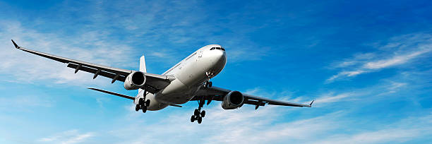 istock jet airplane landing in bright sky 137010531