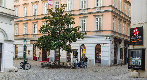Vienna, Austria - 02.20.2019: Square Desider-Friedmann-Platz in the Inner City in Vienna. Tree in the middle of the square