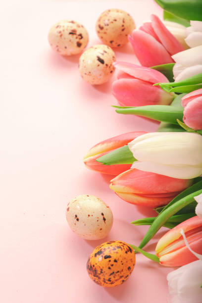 istock Spring Easter composition with pink tulips flowers and eggs on pastel background. Bannner top view, copy space 1370108996
