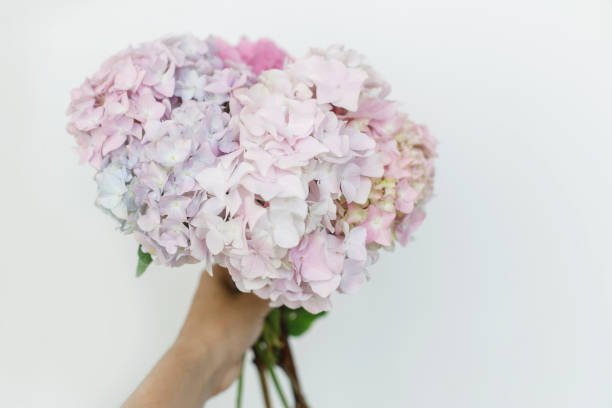 Flower arrangement