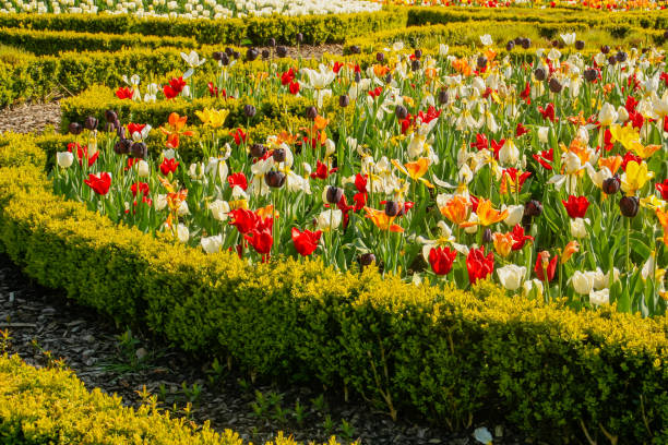istock Colorful garden a sunny day. 1370112636