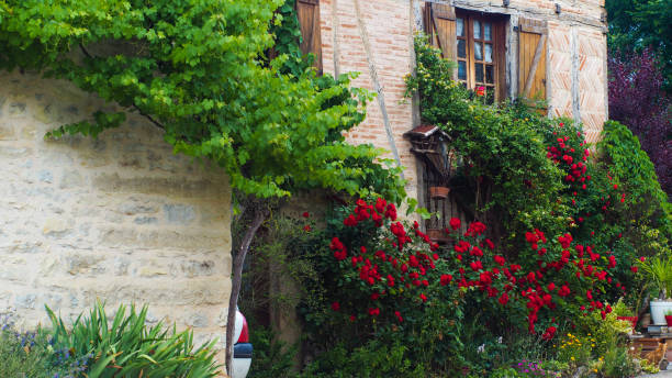 Elegant manor in La Provence (France)