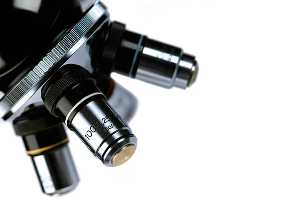 xl microscopio lente close-up - laboratory equipment foto e immagini stock