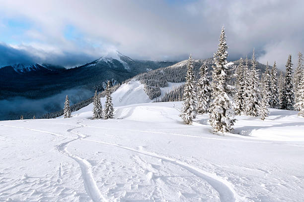 xxl poudreuse fraîche des pistes de snowboard - woods glade winter wood photos et images de collection