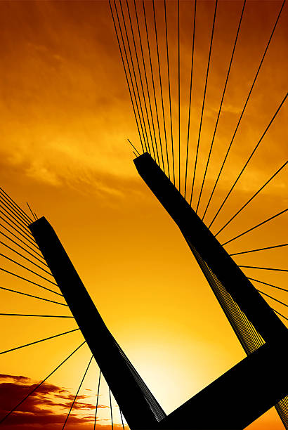 suspension bridge silhouette - gold wire bildbanksfoton och bilder