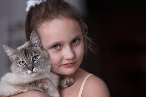 girl child large portrait siamese grey white cat in hands