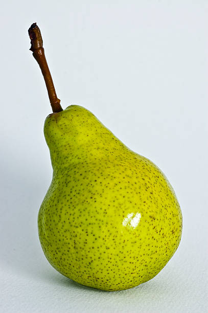 Le Poire - Photo