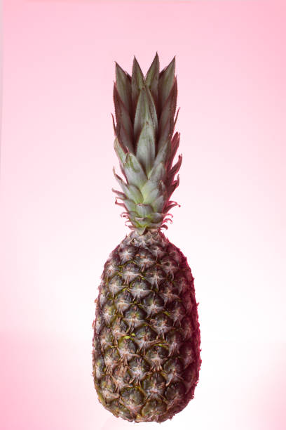 istock Delicious pineapple in focus, isolated, light pink background 1370128627