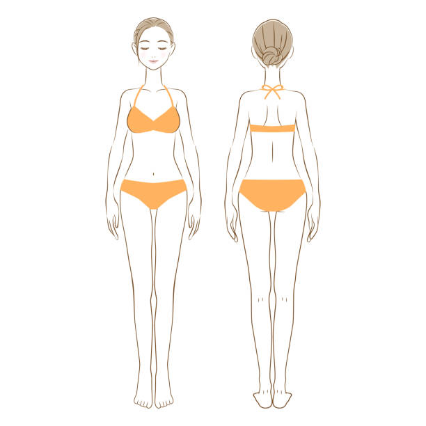 ilustrações de stock, clip art, desenhos animados e ícones de full body illustration of a woman in a swimsuit with eyes and closed front and back view - body woman back