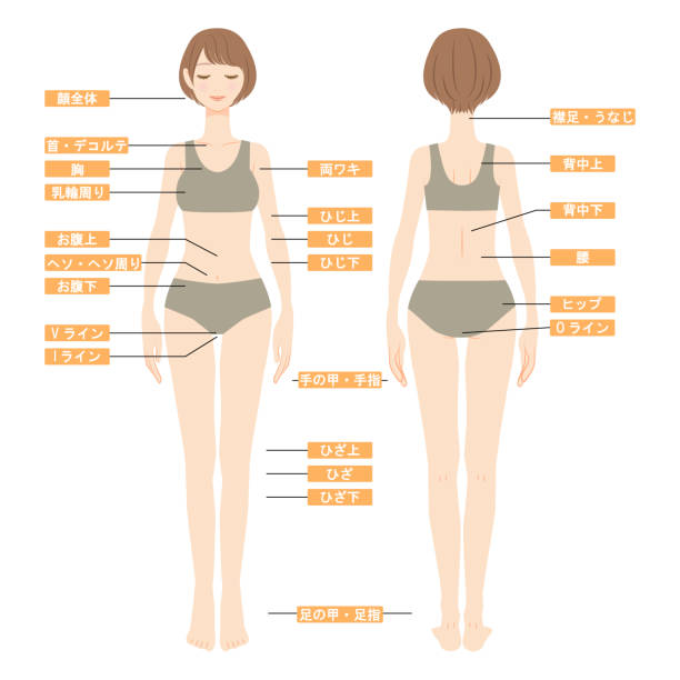 ilustrações de stock, clip art, desenhos animados e ícones de full body illustration of a bobbed cut woman wearing a swimsuit with her eyes closed image of hair removal area front and back view - body woman back