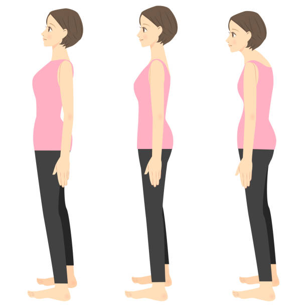 좋은 자세와 나쁜 자세의 비교 - good posture stock illustrations