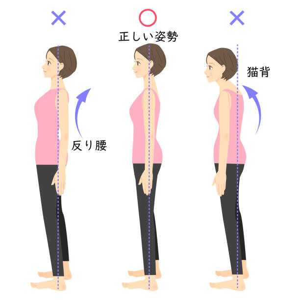 좋은 자세와 나쁜 자세의 비교 - good posture stock illustrations