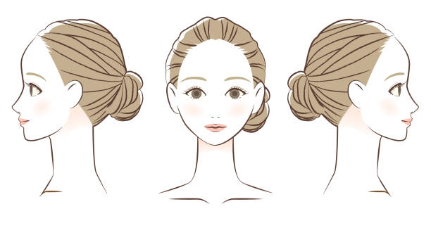 ilustraciones, imágenes clip art, dibujos animados e iconos de stock de cara de mujer frente y perfil dibujo de línea - hair bun asian ethnicity profile women