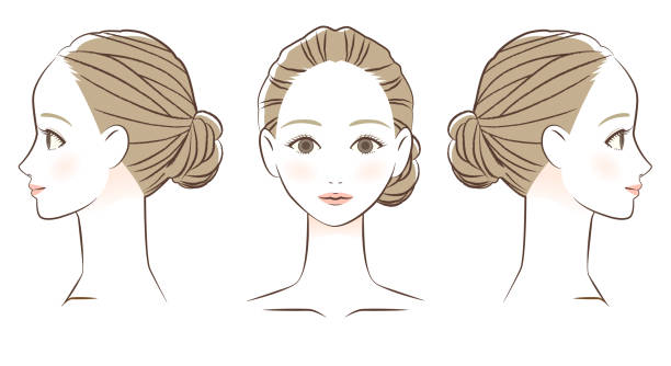 ilustrações de stock, clip art, desenhos animados e ícones de woman's face front and profile line drawing - hair bun asian ethnicity profile women