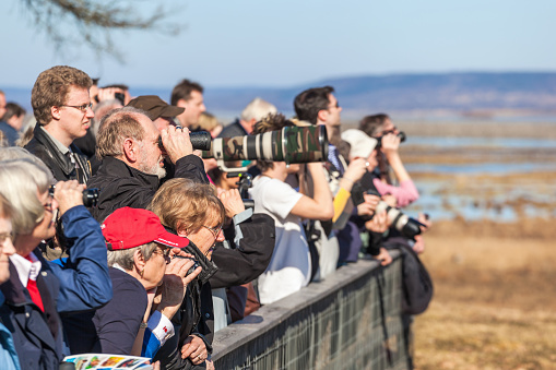 Hornborgasjön, Sweden - April 04, 2016: People watching bird at lake Hornborgasjön in Sweden