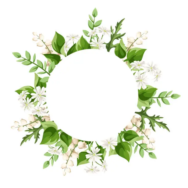 Vector illustration of Vector circle card with white flowers and green leaves. Greeting or invitation card design