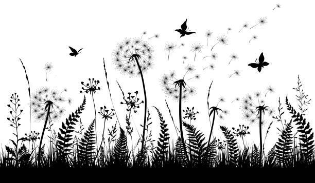 floraler hintergrund mit wildkräutern, löwenzahn und schmetterlingen. abstrakte landschaft. - dandelion wildflower field flower stock-grafiken, -clipart, -cartoons und -symbole