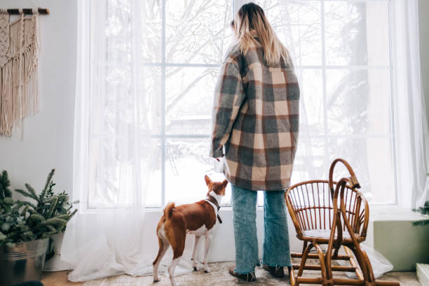 Young caucasian woman standing near window with her dog on winter morning. stock photo
