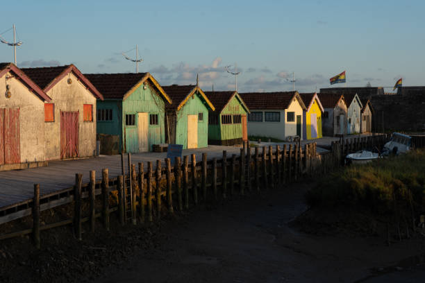 istock Village with houses in several colours 1370143931