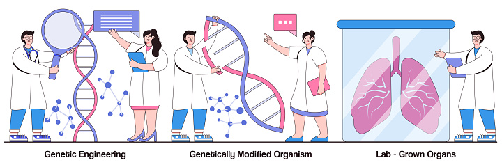 Genetic engineering, genetically modified organism, lab-grown organs concept with people character. Bioengineering vector illustration set. DNA manipulation, stem cells, transplantation metaphor.
