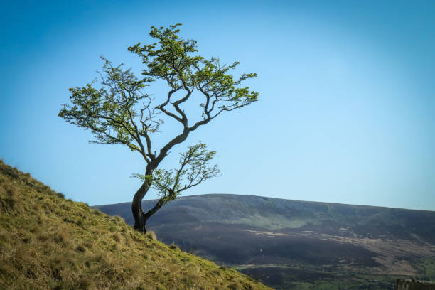 istock Blue skies in the Peak District 5 1370145600